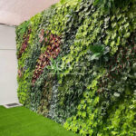 Jasa Vertical Garden Tangerang